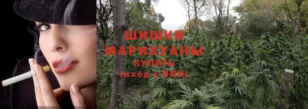 Альфа ПВП Аркадак