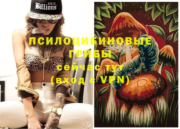 Альфа ПВП Аркадак