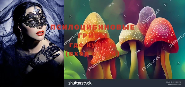 каннабис Арсеньев