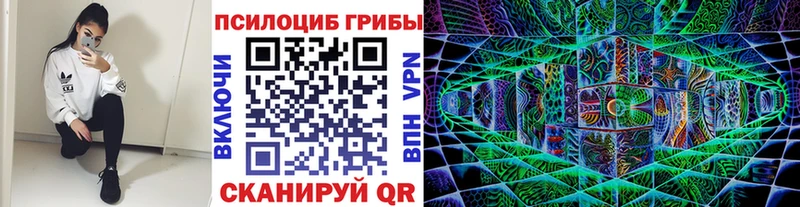 Псилоцибиновые грибы Cubensis  MEGA вход  Байкальск 